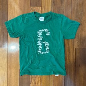 Boys dinosaur 6 birthday shirt size XS